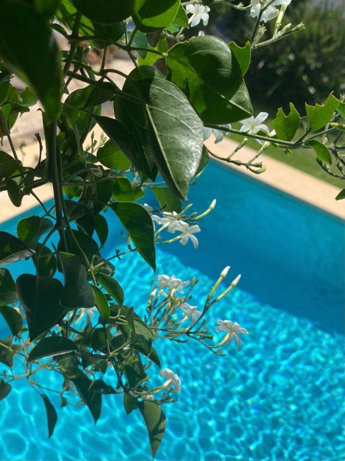 Beautiful Villa With Pool, Barbecue, And Garden Jávea Eksteriør billede